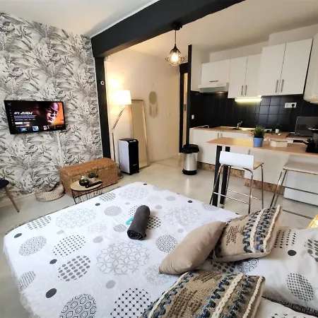 Ferienwohnung Le Jasmin Des Carmes - Hypercentre - Netflix Toulouse Exterior foto